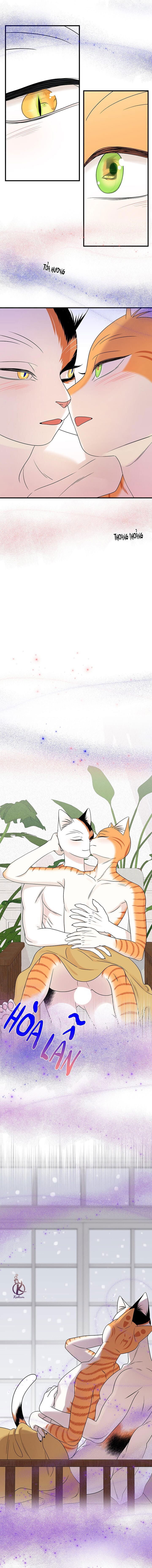 dự án xanh chapter 56 10