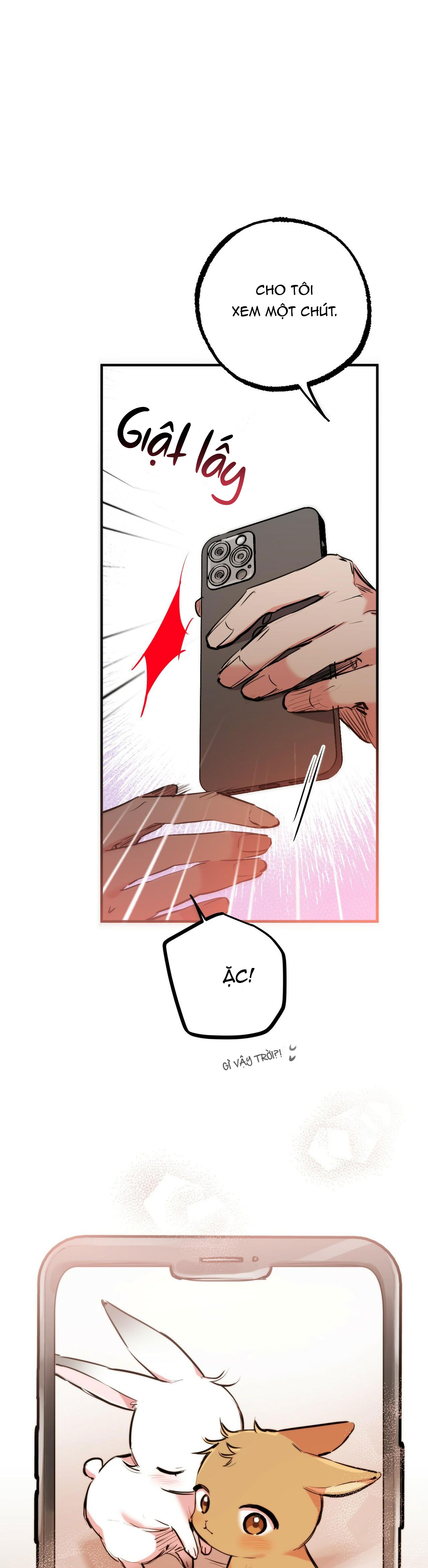 những chú thỏ của hapypy chapter 28 18