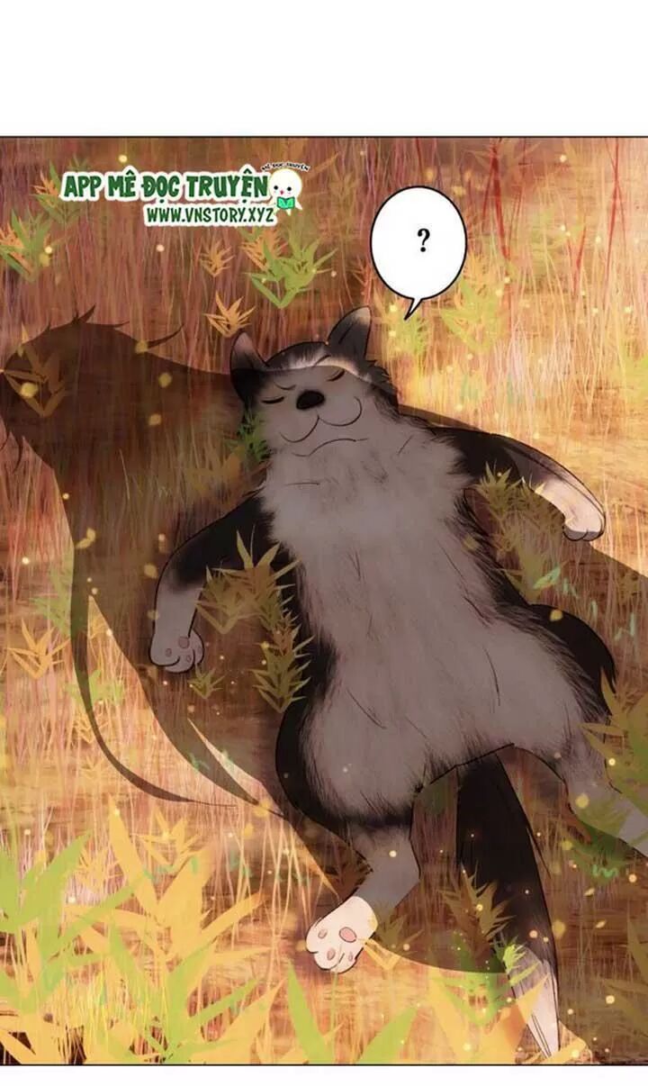 cực phẩm phế vật tiểu thư chapter 42 3