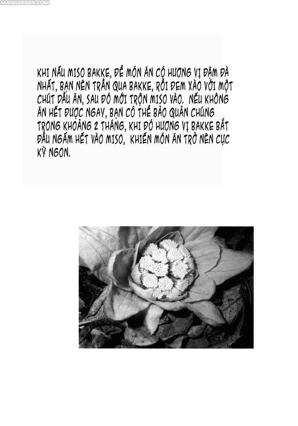 little forest chapter 6 11