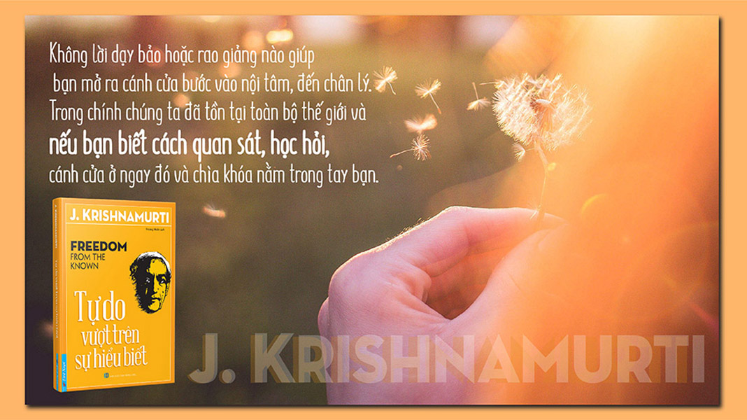 Hình ảnh Bộ sách của J.Krishnamurti: Bạn đang nghịch gì với đời mình & Tự do vượt trên sự hiểu biết