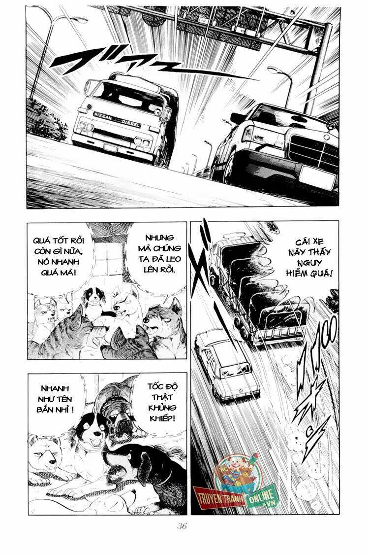 chú chó có nghĩa - ginga nagareboshi gin chapter 31 36