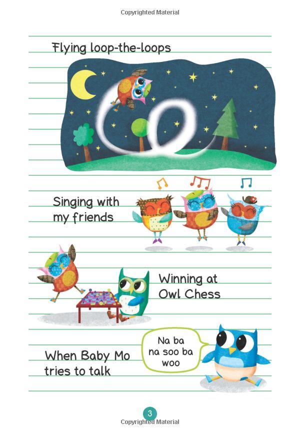 Sách ngoại văn: Owl Diaries #10: Eva and Baby Mo