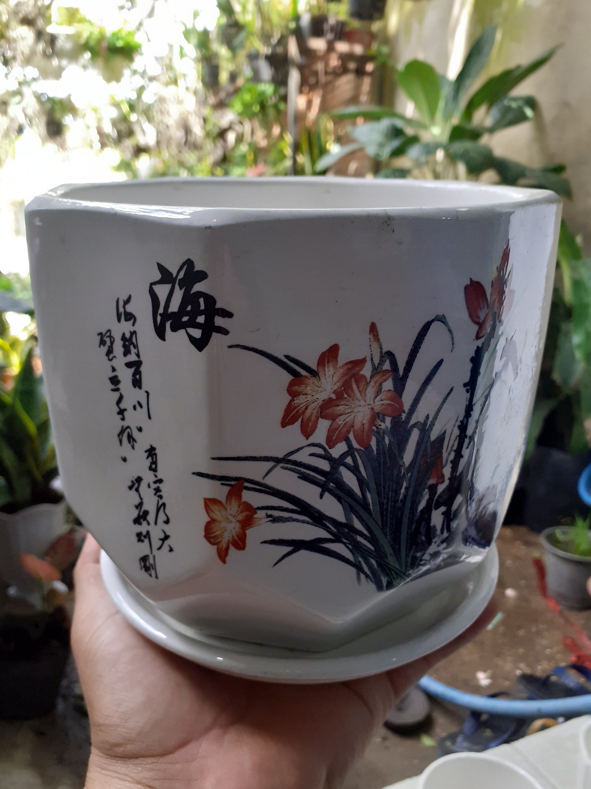 Chậu kèm dĩa BÁT GIÁC hoa