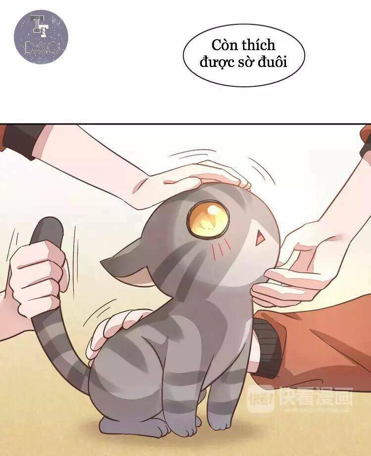 thị hoang chi thần chapter 19 38