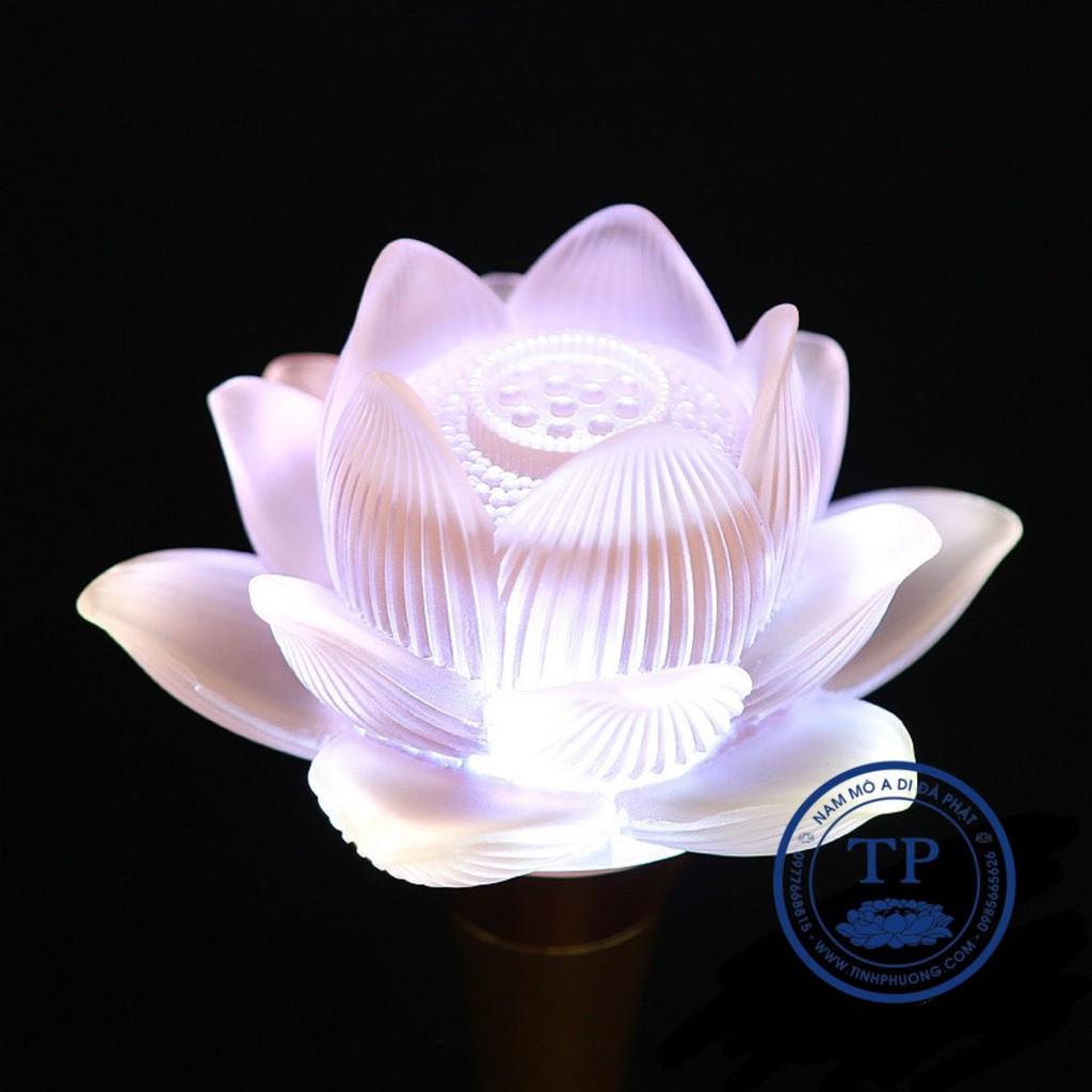 ĐÔI ĐÈN 1 BÔNG HOA SEN NỞ THỦY LƯU LY CỔ NGẮN CAO 31 CM TM121268