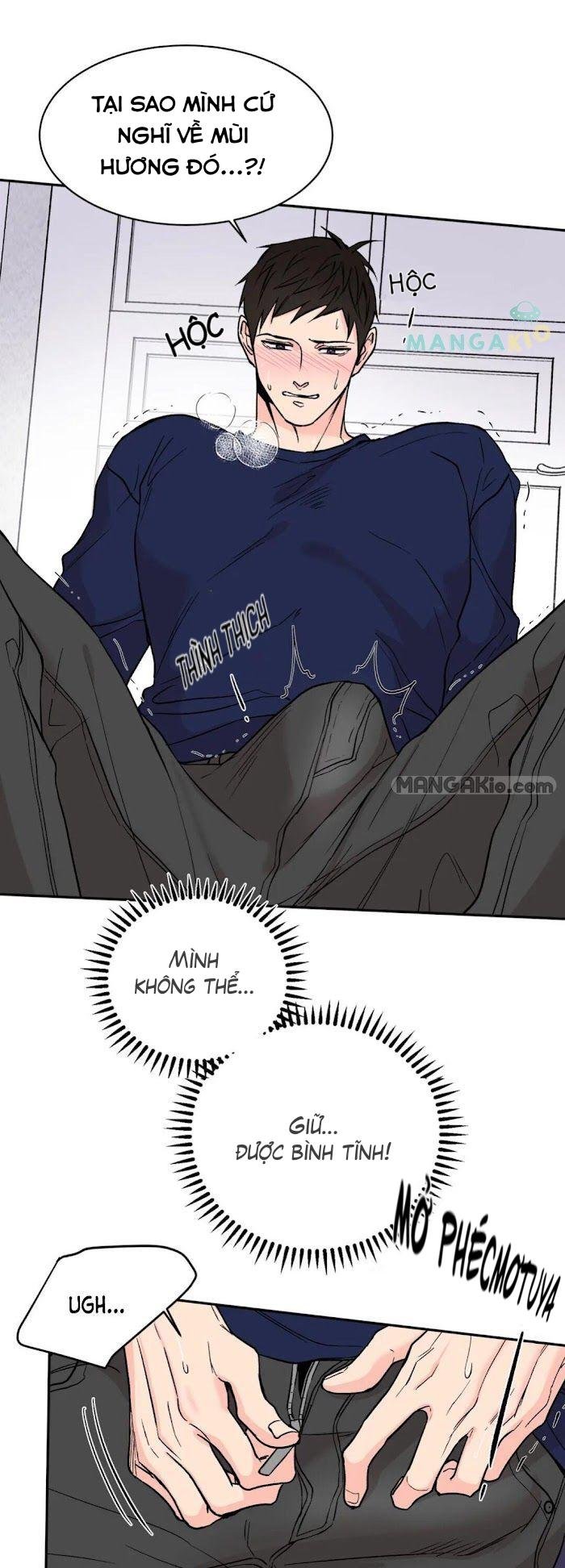 đảo ngược chapter 6 5