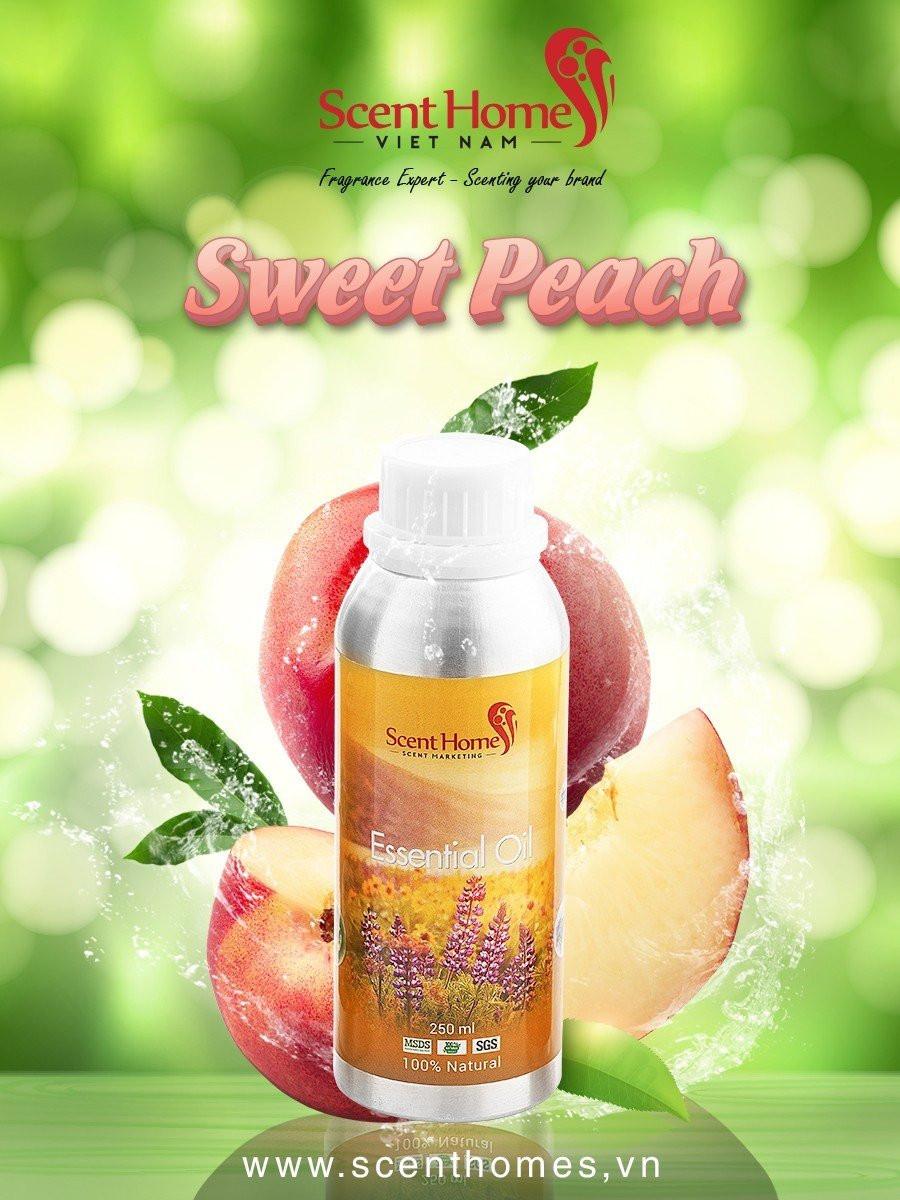 Tinh dầu Scent Homes - mùi hương
