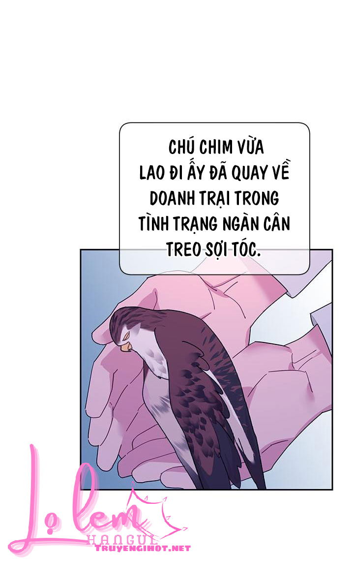 công chúa của loài chim chapter 40.1 20