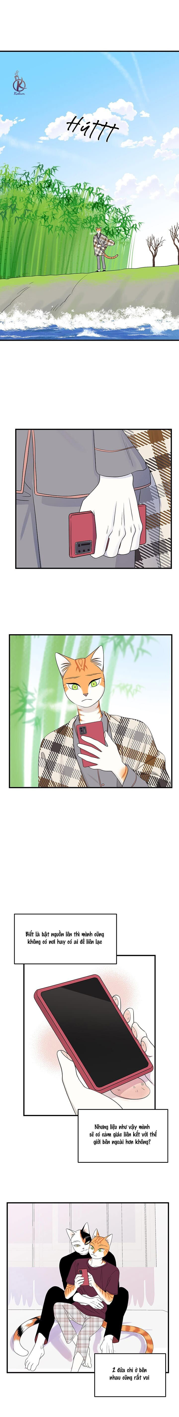 dự án xanh chapter 52 11