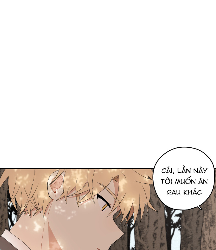 đường hoa liên kiều rơi chapter 23 47