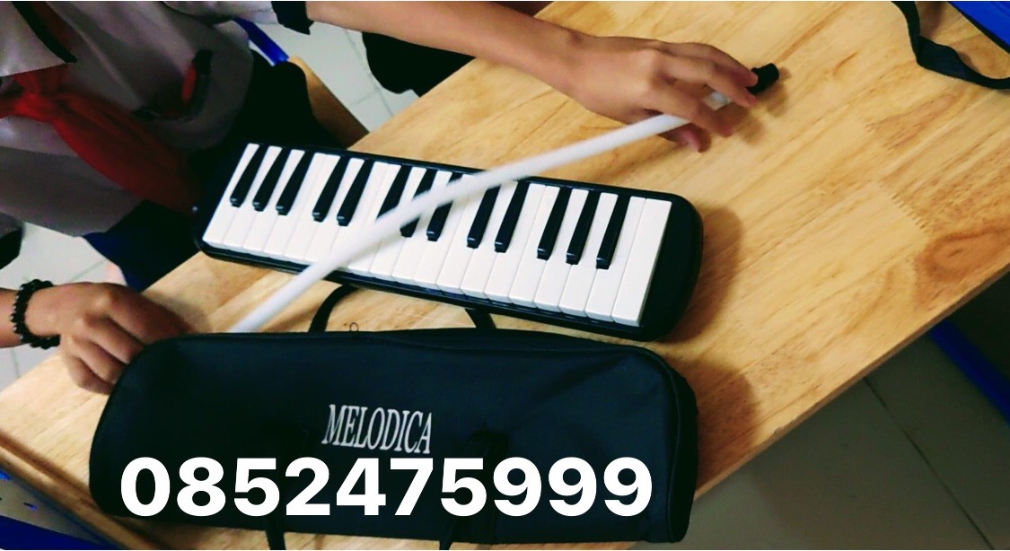 Kèn Melodion Swan 32 Phím Nhạc Cụ Kèm Túi Đựng Cho Học Sinh Người Mới Bắt Đầu học thanh nhạc