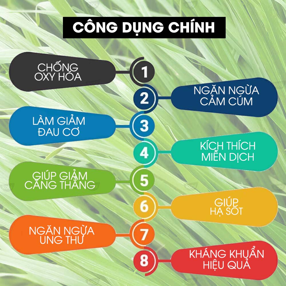 Tinh dầu Cỏ gừng Kobi Ginger grass essential oil giúp đuổi muỗi, khử mùi, làm thơm phòng - 5ml