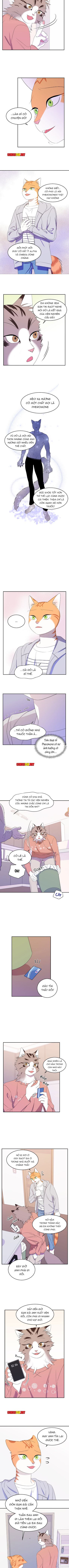 dự án xanh chapter 9 5