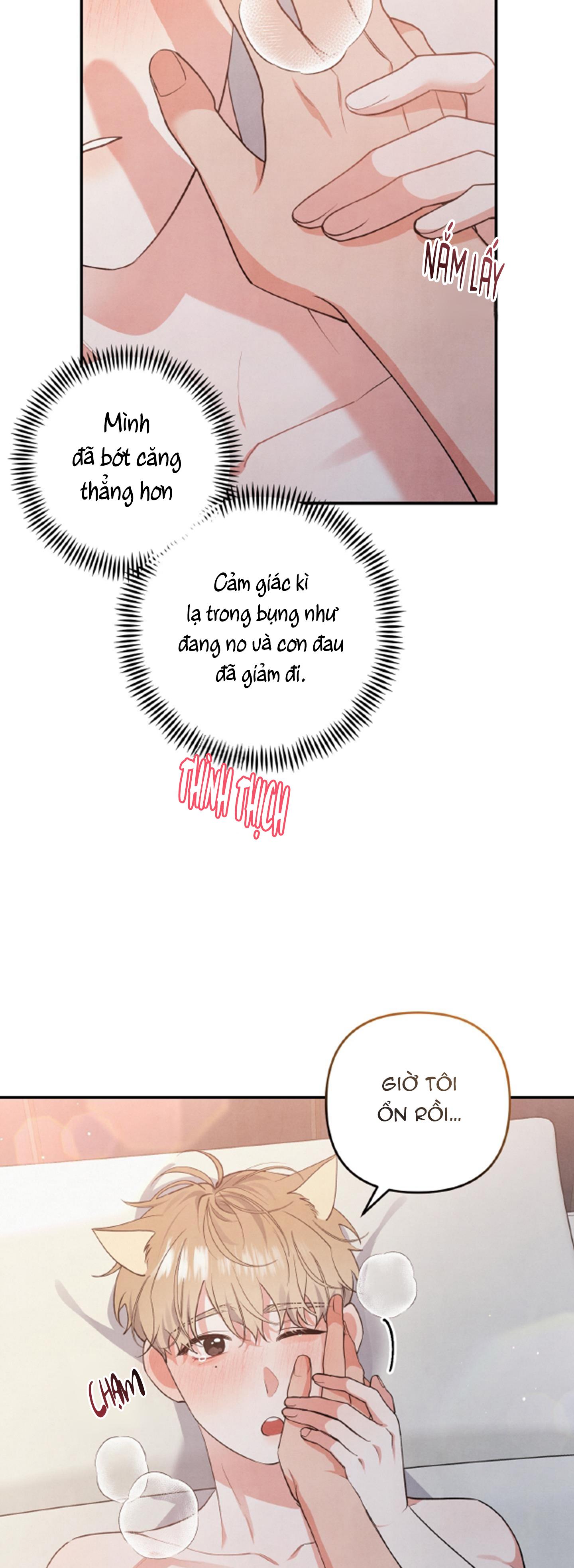 mối quan hệ ngu ngốc chapter 48 20