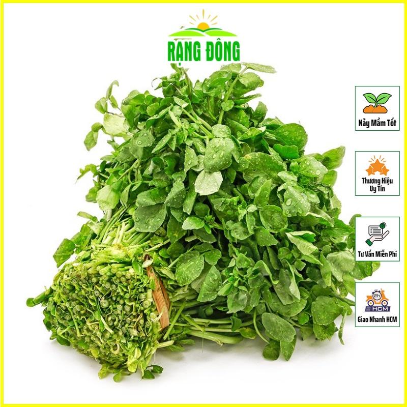 Hạt giống Xà Lách Xoong Sinh Trưởng Khỏe, Trồng Quanh Năm - Hạt Giống Rạng Đông