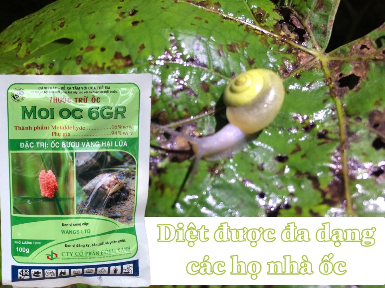 Thuốc Trừ Ốc Mồi Ốc 6GR - thuốc diệt ốc MOI OC-100g