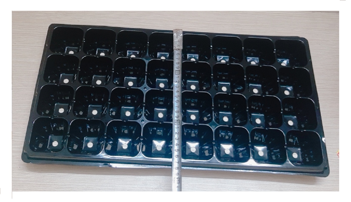 5 Khay Nhựa PVC 24 Lỗ Ươm Cây Tiện Lợi, Dễ Sử Dụng, Tích Kiệm Diện Tích - Khay nhựa ươm cây 24 lỗ!