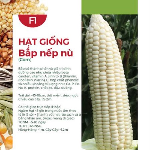 Hạt Giống Bắp Nếp Nù F1 (100gr)