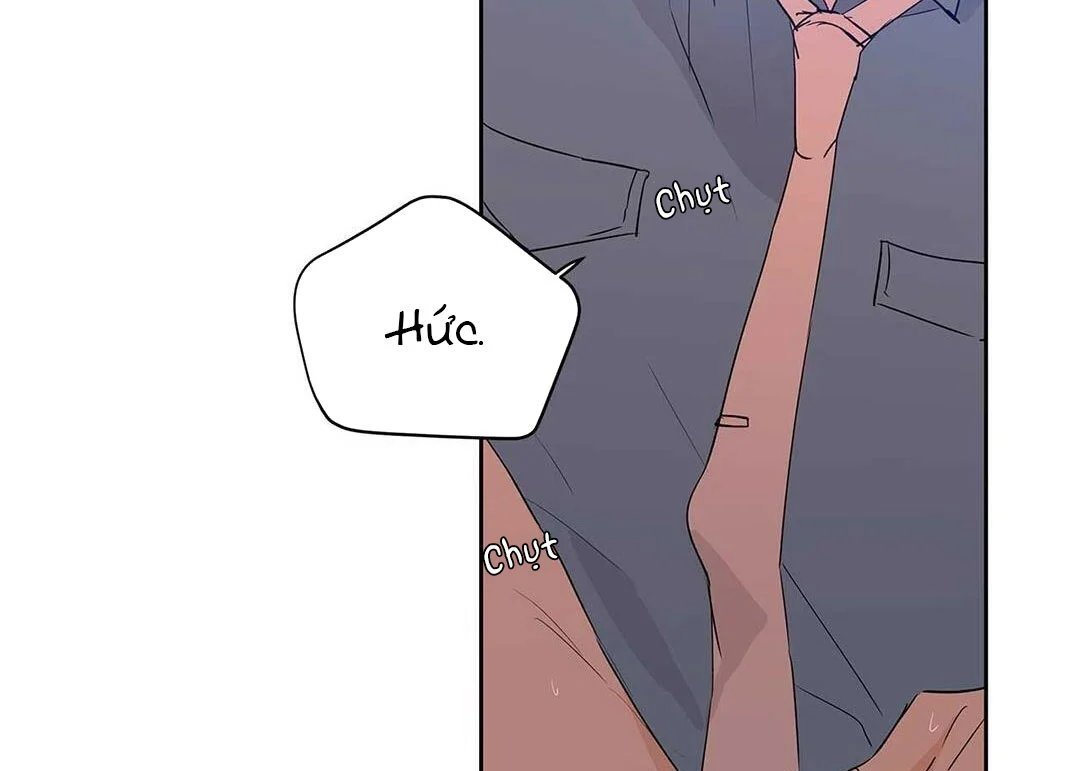 guide cấp b chapter 24 109