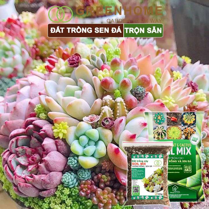 Đất Trồng Sen Đá Greenhome, Bao 1kg, Soil Mix, Trộn Sẵn, Tiện Lợi, Đầy Đủ Dinh Dưỡng, Thoát Nước Tốt, Cây Nhanh Lớn