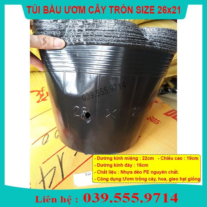 TÚI BẦU NHỰA MỀM ƯƠM CÂY SZE 26X21 -TÁI SỬ DỤNG NHIỀU LẦN