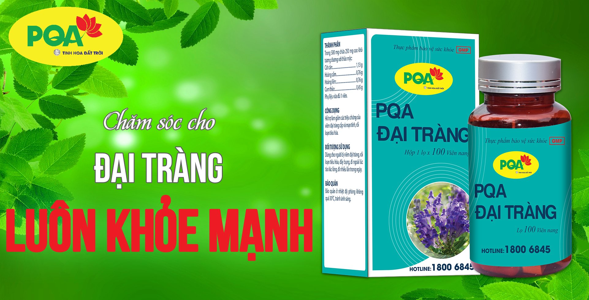 PQA Đại Tràng lọ 100 viên nang là dược phẩm thảo dược dùng cho người bị viêm đại tràng hỗ trợ hạn chế các triệu chứng của viêm đại tràng cấp và mạn tính, rối loạn tiêu hóa.