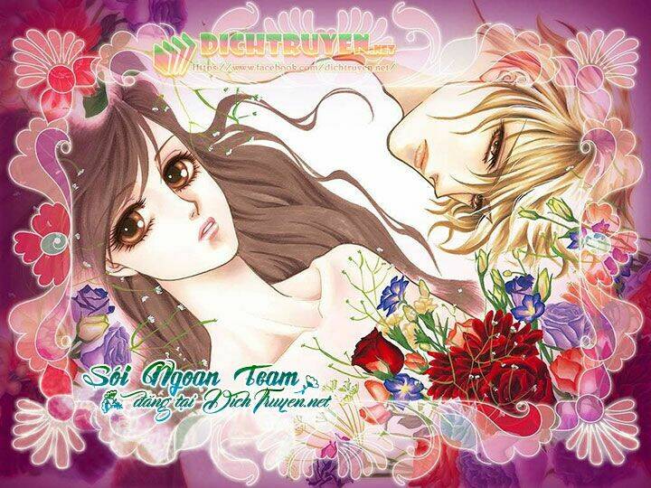 đóa hồng dành tặng seri chapter 1 1