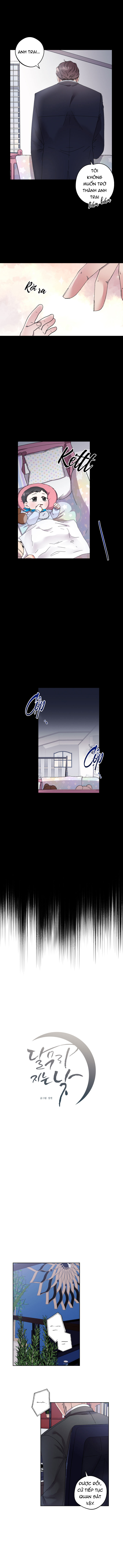 quầng trăng ban ngày chapter 4 2