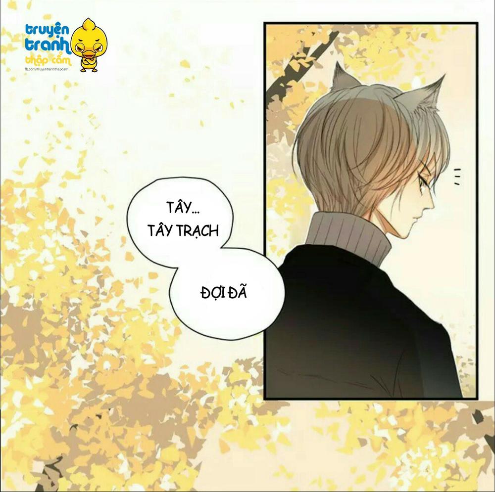 cứu mạng ! loài mèo thống trị thế giới rồi ! chapter 38 10