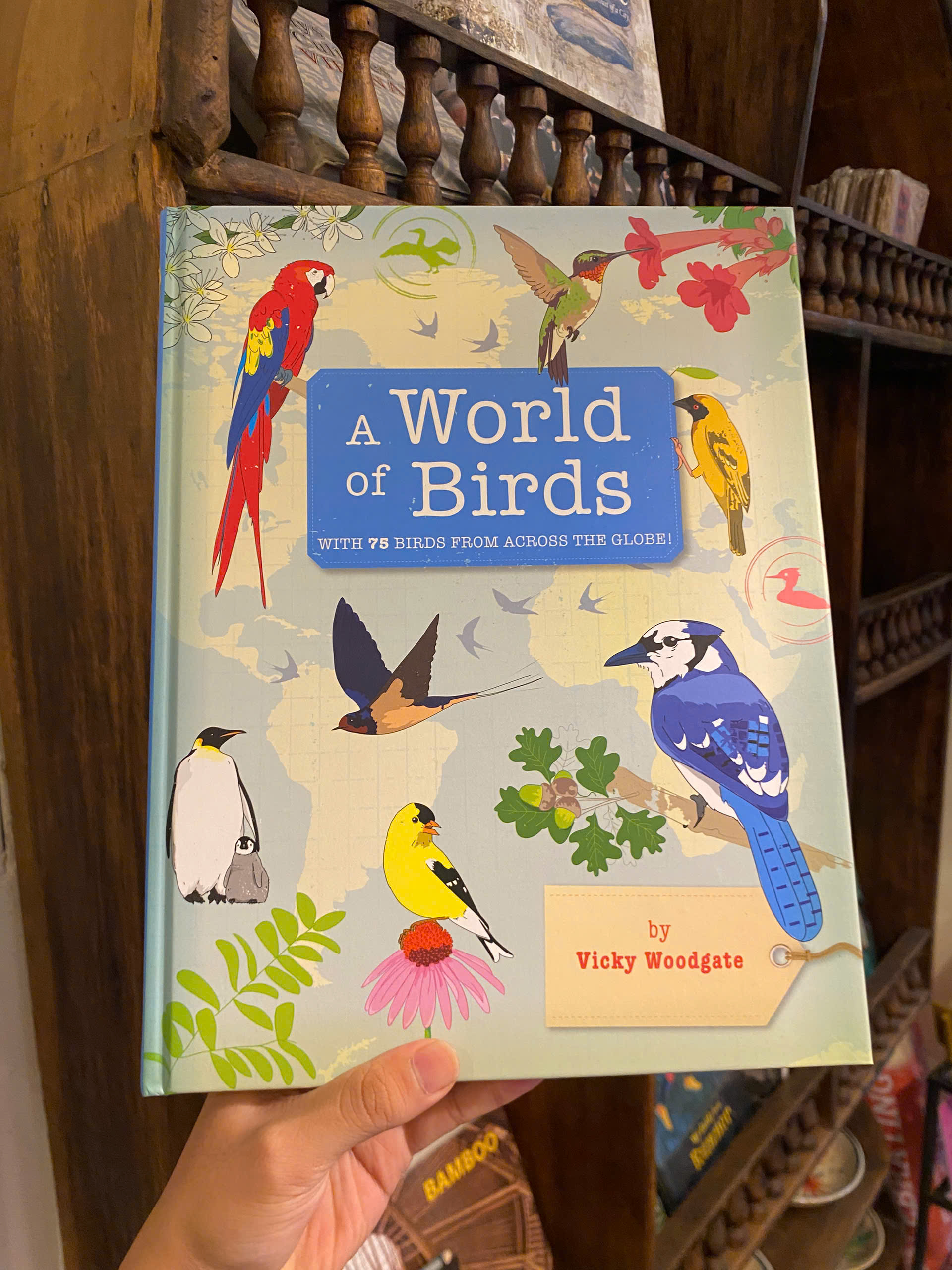 Sách - A World of Birds by Vicky Woodgate | Children's Science Picture Book | English Encyclopedia