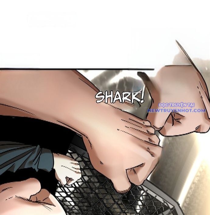shark - cá mập chapter 341 19