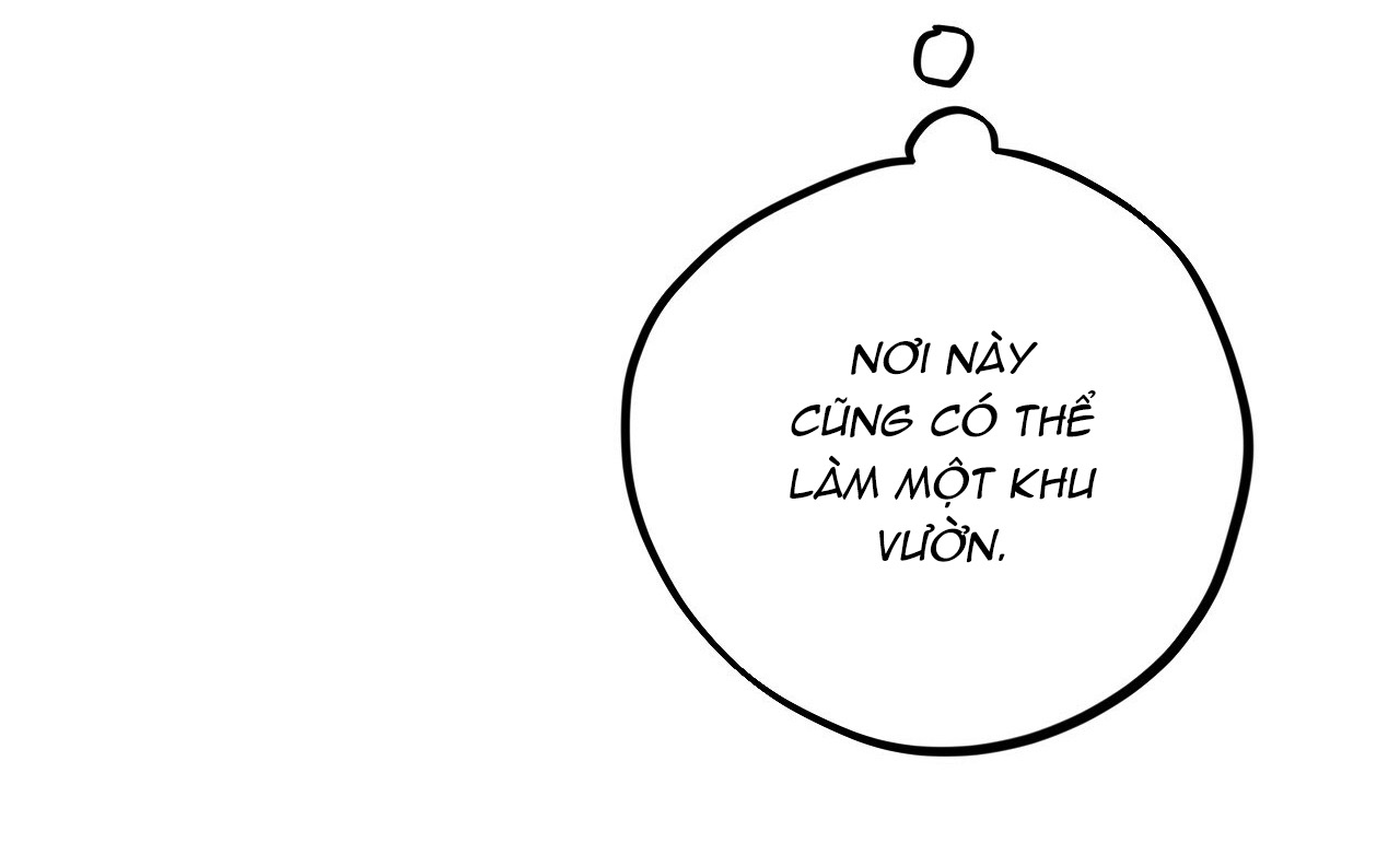 đàn thỏ của habibi chapter 19 262