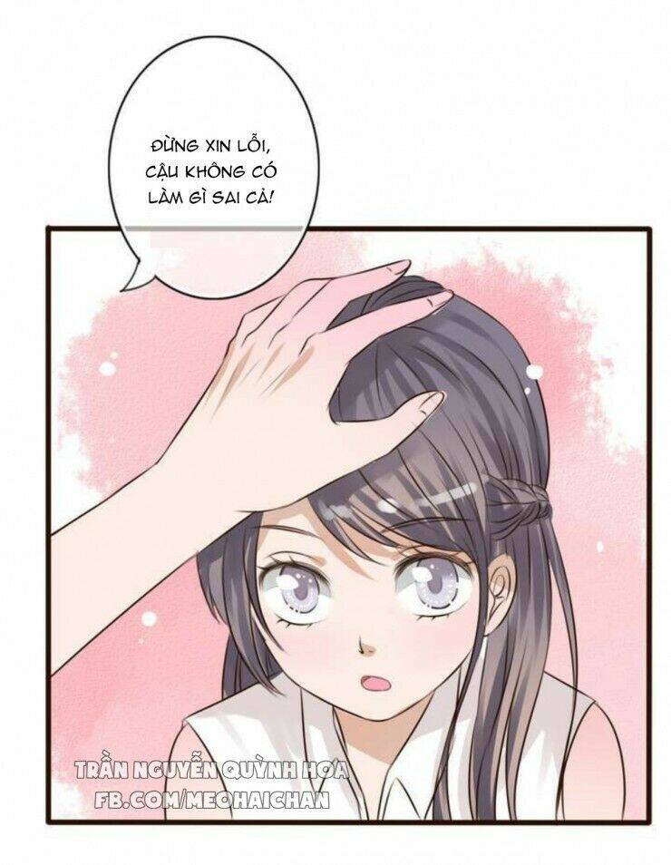 sau con mưa mùa hạ chapter 5 21