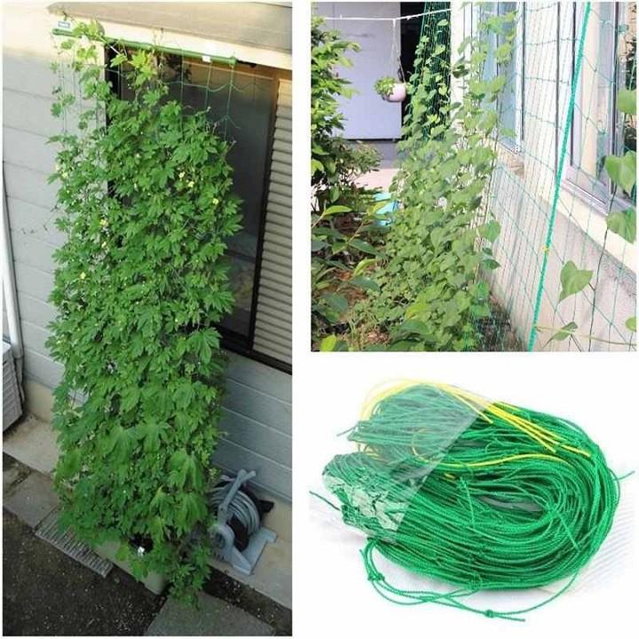 Lưới Làm Giàn Leo Siêu Bền