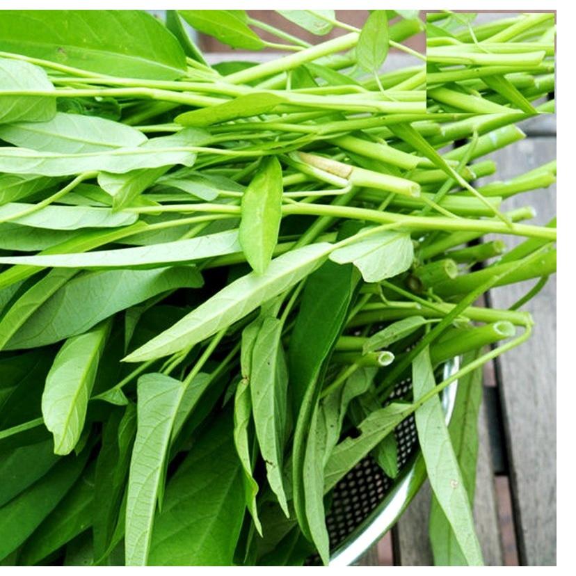 Hạt Giống Rau Muống Cao Sản Lá Tre - 1kg/gói