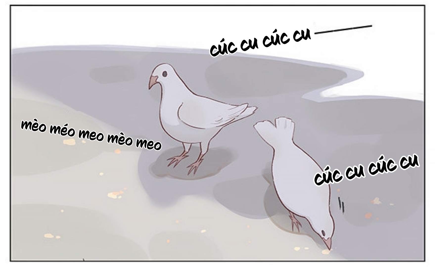 sẻ chiếu mới và nhạn phong sương chapter 2 4