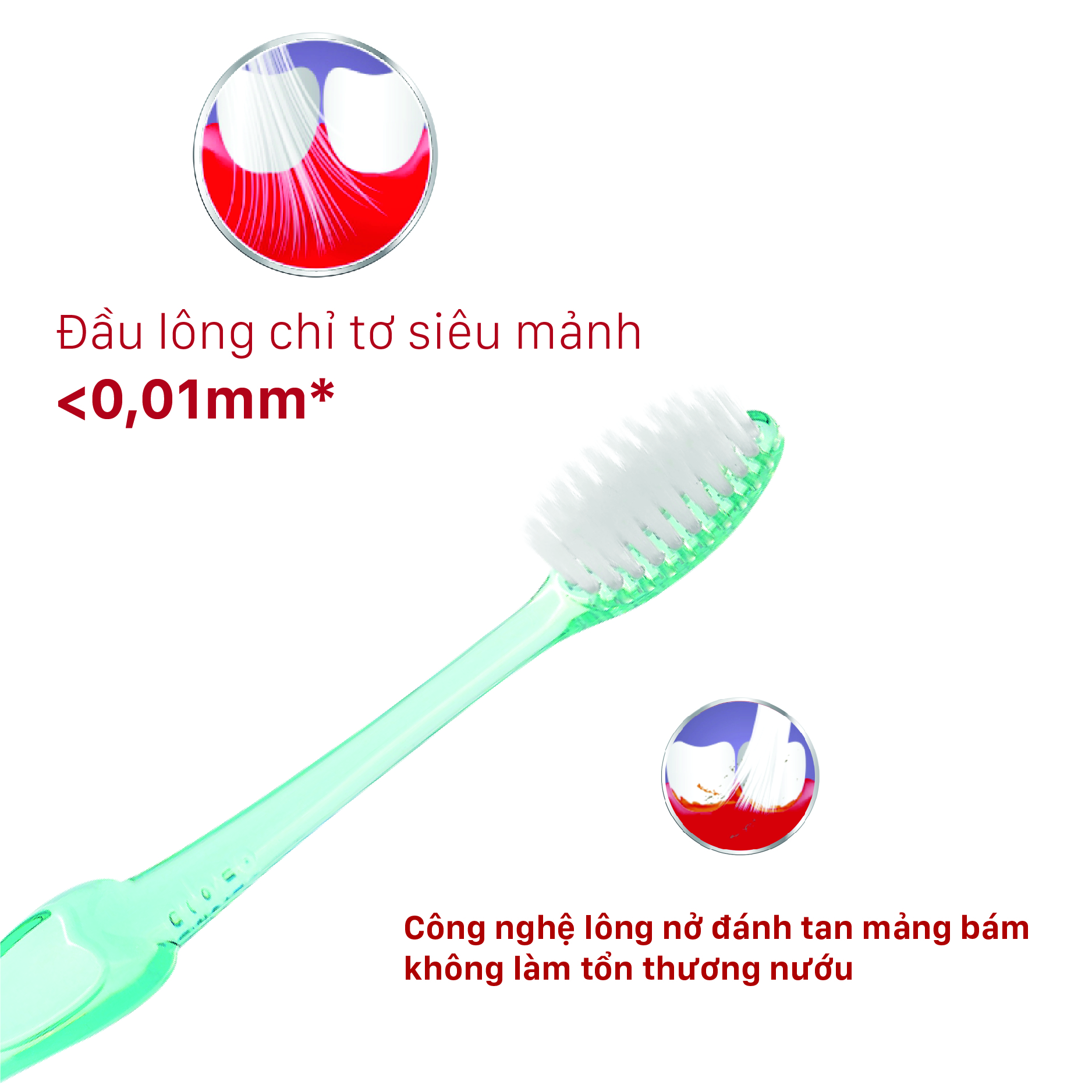 Bàn Chải Đánh Răng LIPZO Ruby Sensi Công Nghệ Lông Chỉ Tơ Nha Khoa Phù Hợp Phụ Nữ Men Răng Yếu, Nhạy Cảm