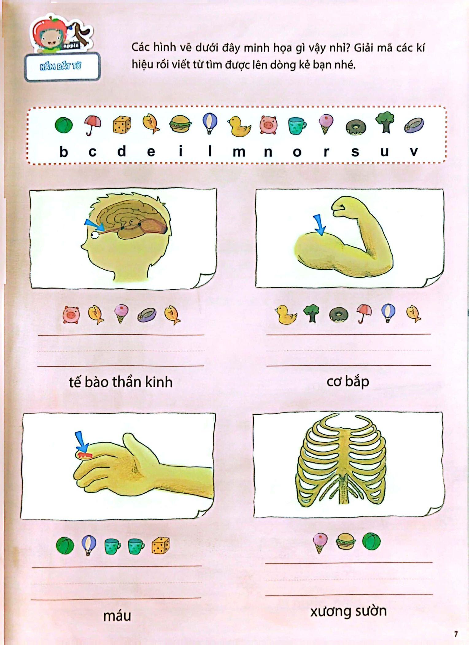 Sách All Story - Inside Your Body - Bên Trong Cơ Thể Bạn - Trình Độ 2 (Tập 6)
