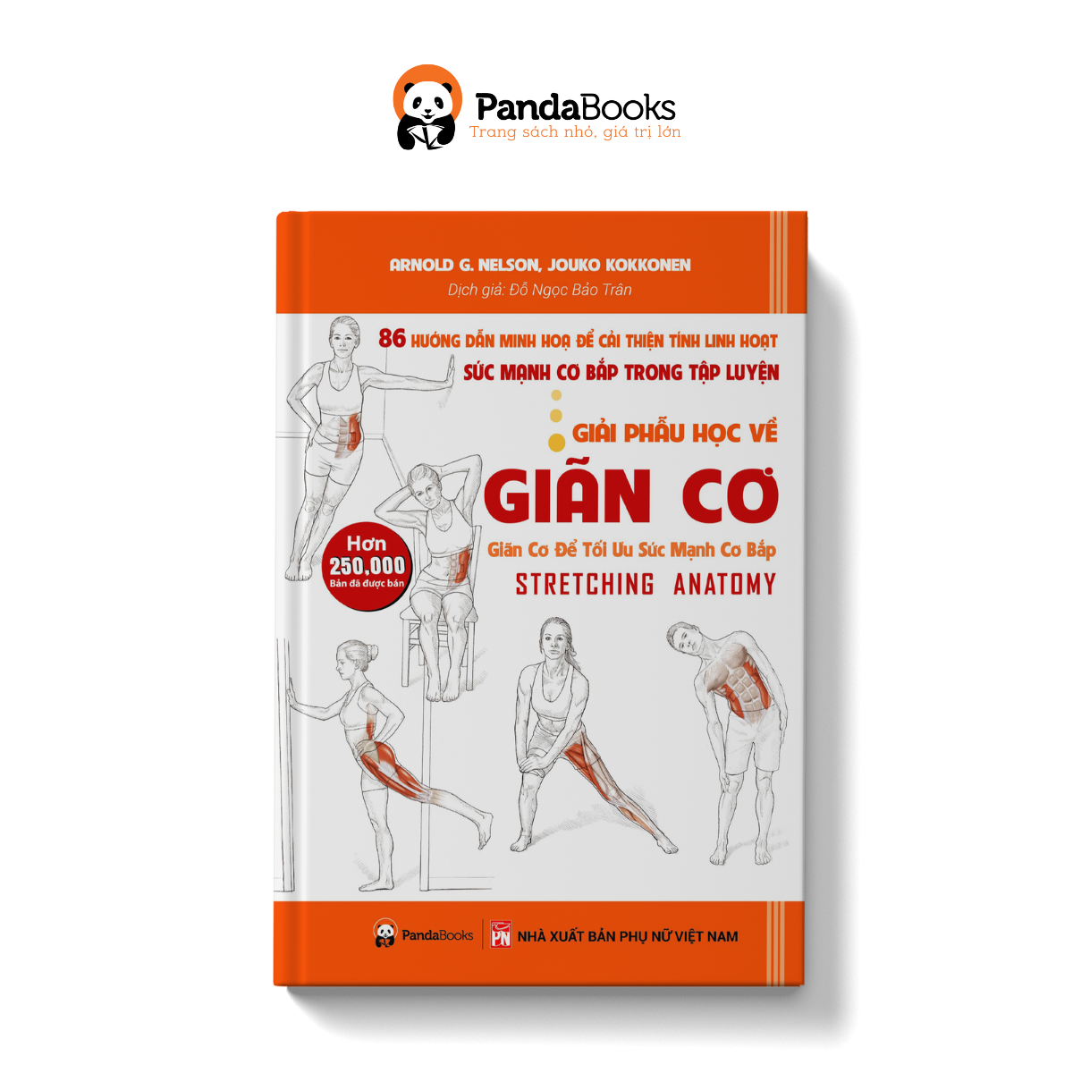 Sách PANDABOOKS Giải phẫu học về giãn cơ - Giãn cơ để tối ưu sức mạnh cơ bắp