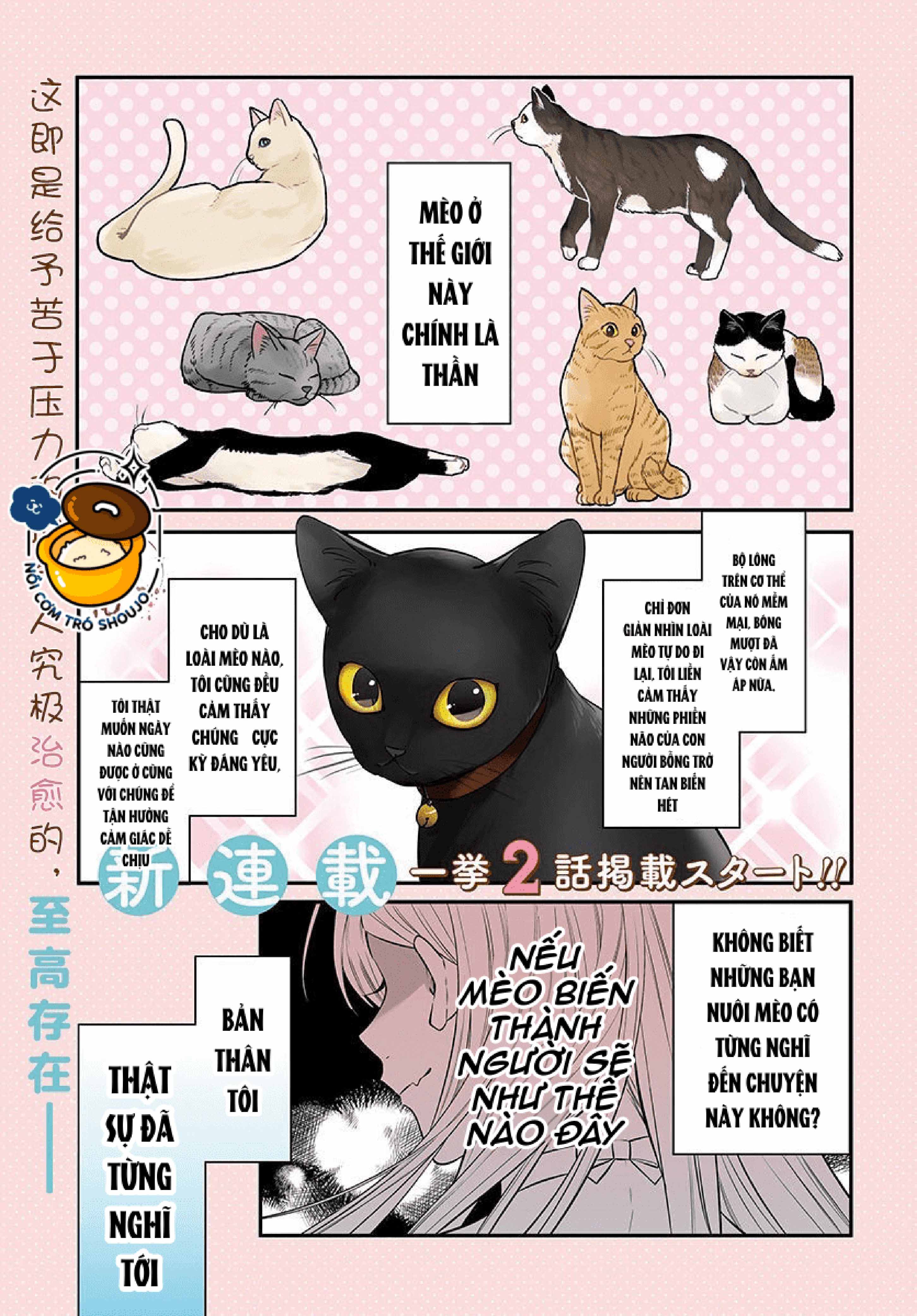 cô mèo nhỏ muốn được tôi nuôi chapter 1.1 1