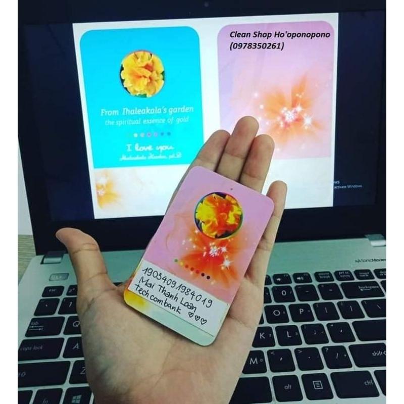 Combo 2 thẻ ATM hoa râm bụt kép thanh tẩy tài chính