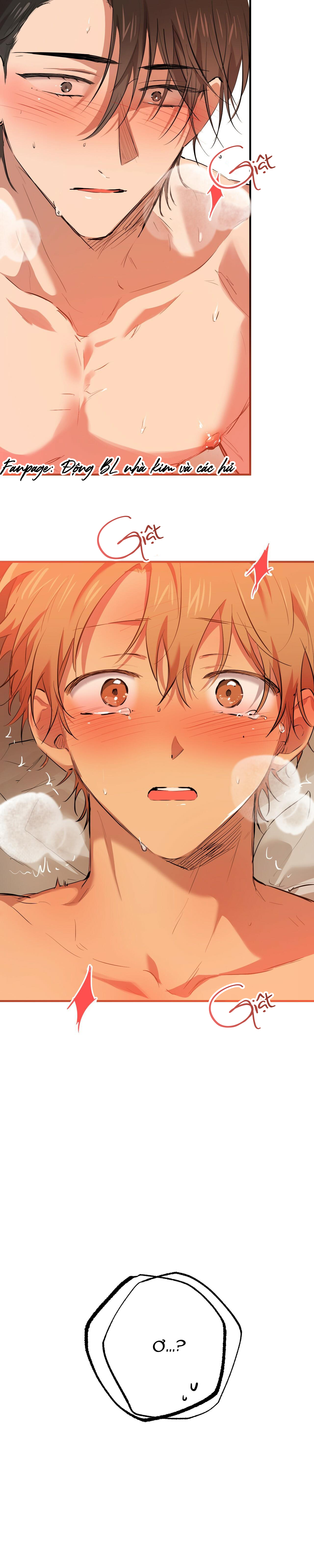 những chú thỏ của hapypy chapter 26 2