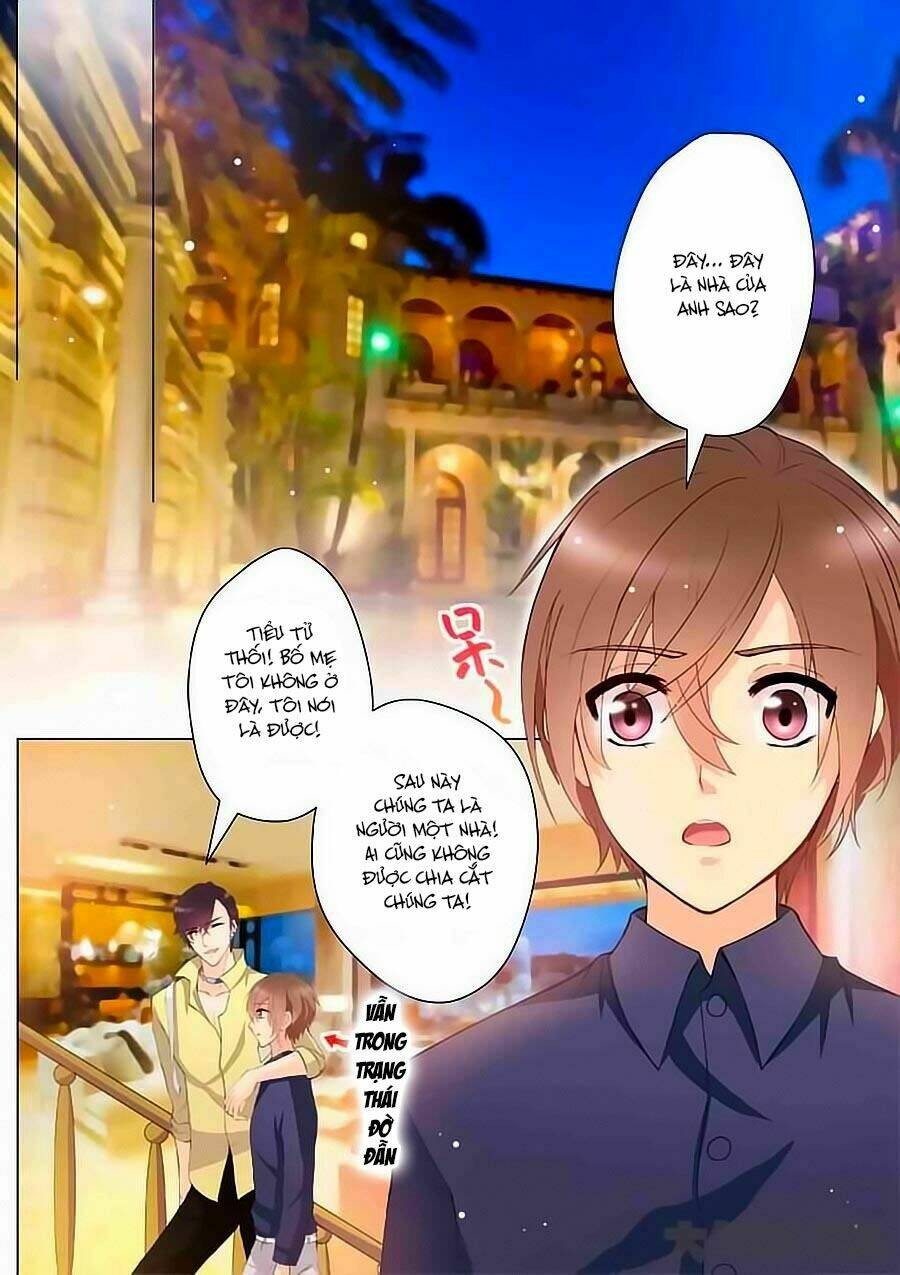 tinh tinh bất thị phát quang thể chapter 4 5