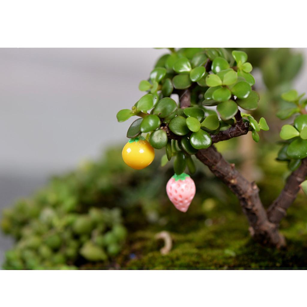 10 Pieces Micro Landscape Resin Fruit Ornament Garden DIY