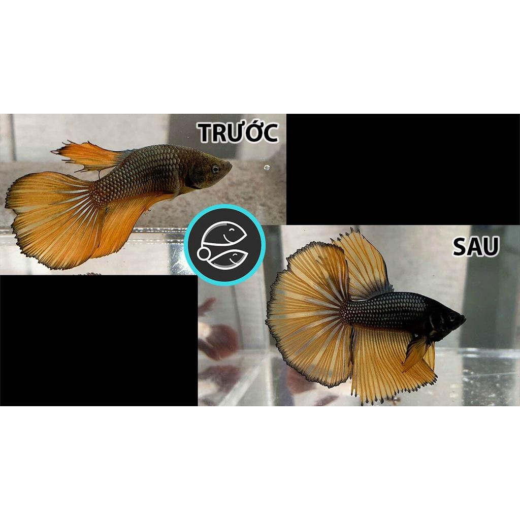 ParaKill - Đặc Trị Nấm trên cá cảnh- Sát trùng -phòng Chăm Sóc Cá Cảnh Nước Ngọt và Nước Mặn-shopleo-phụ kiện thủy sinh