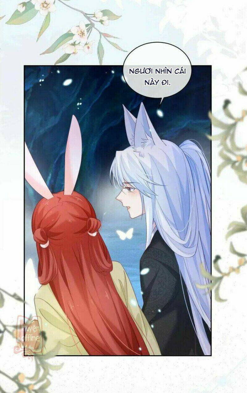 hắc hóa nam chính trực tuyến nuôi thỏ chapter 52 4