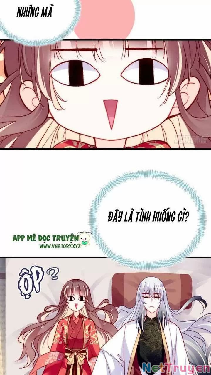 lại bị bệnh chiều chuộng quấn lấy chapter 6 26