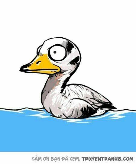 earth, human, and animal chapter 18 7