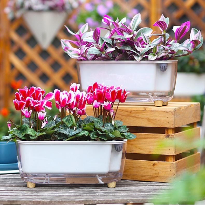 Chậu cây để bàn Oliz Gerta 211. Chậu trồng cây có chức năng tự tưới màu trắng trong